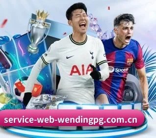 m.service-web-wendingpg.com.cn APP